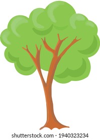 
Seth collection of summer green trees different trees illustration on white background nature stylization forest