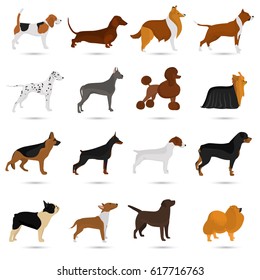 Seth of different breeds of dogs color flat icon s for web and mobile design