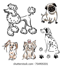 Seth of different breeds of dogs color flat icon s for web and mobile design