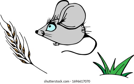 Seth gray mouse in the field found a spikelet on a white background. Vector doodle. Cartoon drawing