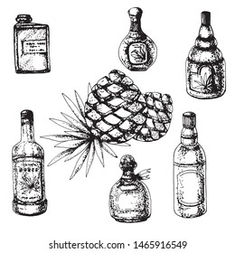  Seth Mexico, bottles of tequila and a bush of light blue agave, painted on paper by hand, in the form of a black and white outline. Elements for design, project, menu cards, labels.
			