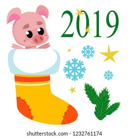 Seth New Year's. Pig in a Christmas sock, Christmas tree and snowflakes. Symbol of the year 2019. Figure in cartoon style.