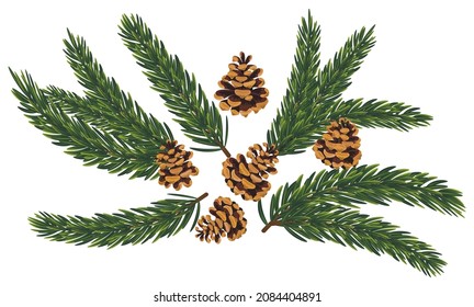 Seth pine branch of a fir-tree cone. Decoration for the New Year. Realistic image, isolate on a white background. Vector illustration.