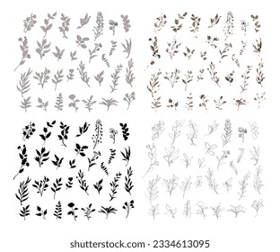Seth planta silueta y contornos. Aislar sobre el clipart de fondo blanco. Ilustración vectorial.