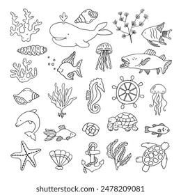 Seth sea world. Underwater sea life of animals. Fish, turtles, algae, shells, jellyfish, corals. Doodle. Vector illustration. Hand drawn. Outline.
