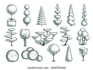 Seth Sketch Topiary Baum formt Piktogramm. Geometrische Bäume für Werbung und Landschaftsgestaltung. Einzeln auf weißem Hintergrund. Vektorgrafik.