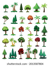 Seth trees from different climatic zones on a white background - Vector illustration