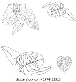 Seth vector illustration blank for design leaves of tropical plants in artline style - monstera, begonia, philodendron, morning glory or ipomoea