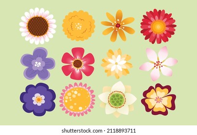 Conjuntos de hermosas flores en vista superior, diseño plano, garabato, vector, ilustración