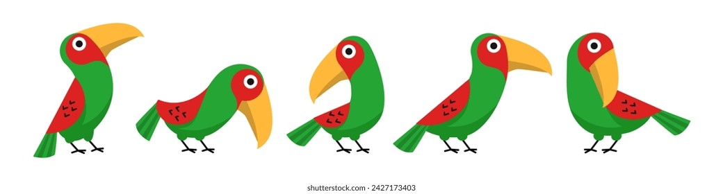 Sets of colorful tropical bird