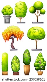 Sets of decorative plants on a white background