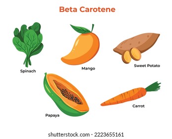 Sets of fruits and vegetables that contains beta carotene or source of vitamin A. Educational food information for healthy lifestyle vector illustration collection with cartoon flat art style colored.