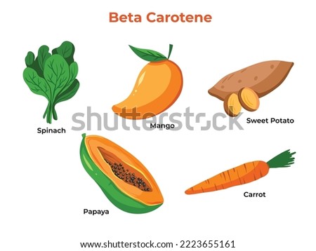 Sets of fruits and vegetables that contains beta carotene or source of vitamin A. Educational food information for healthy lifestyle vector illustration collection with cartoon flat art style colored.