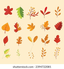 Conjuntos de hojas. Diferentes variedades y colores de hojas de otoño. Colección vectorial de hojas de otoño. El otoño vibrante deja aislado en el estilo de las caricaturas. Puede usarse para editoriales, stickers, iconos y promociones.