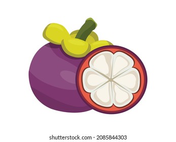 Conjuntos de ilustraciones vectoriales de mangostinos. Fruta tropical purificada. Producto natural orgánico. Alimentos saludables. Comida de verano. Fondo blanco aislado.
