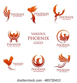 Sets of Phoenix logo design template. Vector Illustration