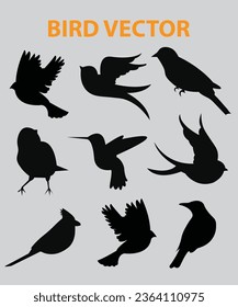 Sets of silhouette birds flying icon, in various species and action expression, create by vector