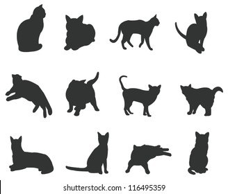 Sets of silhouette cats icon set, in various actions, create by vector