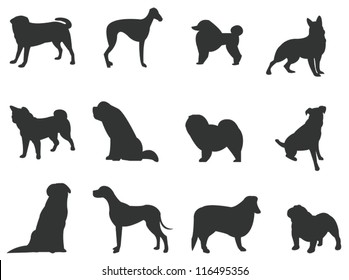 Sets of silhouette dog, in various species, create by vector