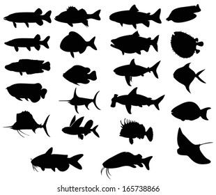 Sets of silhouette Fishes 3 with both freah water and sea, create by vector 