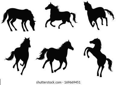 Sets of silhouette horses, in various actions, create by vector 