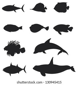 Sets of silhouette salt water Fishes, dolphin, and sea mammal icon set 2, create by vector