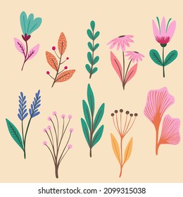 Sets of spring flower colection vector eps