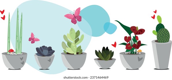 Sets of succulent plants in isolated pots