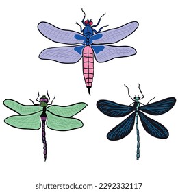  Sets of three dragon flys,good for graphic design resources.