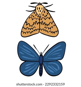 Sets of two beautiful butterfly and moth ,good for graphic design resources. ,good for graphic design resources.