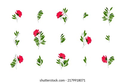 Sets of vector floral elements. Branches with leaves and flowers. Great for designing prints, brochures, labels, fabrics and product packaging.