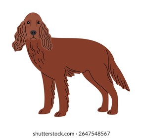 Setter raça cão isolado na arte original branca