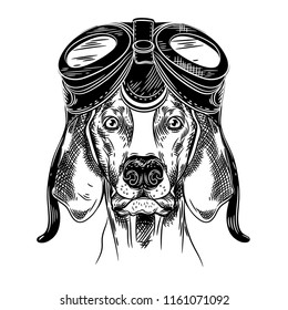 146 Setter Hunting Drawing Images, Stock Photos & Vectors | Shutterstock