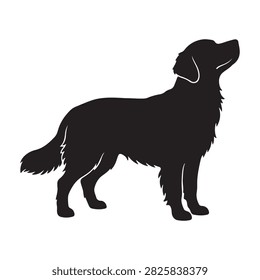 Setter dog standing silhouette vector illustration