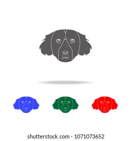 Setter face icon. Elements of dogs multi colored icons. Premium quality graphic design icon. Simple icon for websites, web design mobile app, info graphics on white background