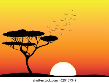 Setting sun. orange sky, flock of birds  and acacia tree vector illustration
Africa safari landscape