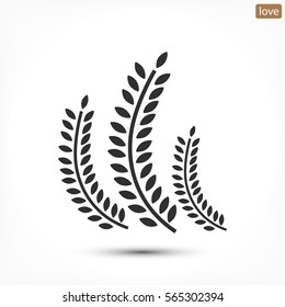 Settings  icon