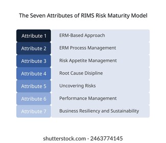 the seven attributes of RIMS Risk Maturity Model