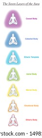 Seven aura bodies chart of a meditating yoga woman. Labeled chart - etheric, emotional, mental, astral, celestial and causal layer an template. Different rainbow colored auras. Vector white.
