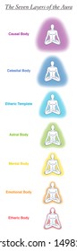 Seven aura bodies chart of a meditating yoga man. Labeled chart - etheric, emotional, mental, astral, celestial and causal layer an template. Different rainbow colored auras. Vector white.
