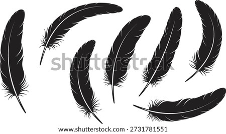 Seven black feathers with white quill and soft, fluffy edges, arranged in a curved line on a plain white background