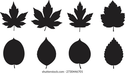 Siete siluetas de hojas negras dispuestas en dos filas sobre un fondo blanco liso, mostrando diferentes Formas y tipos de hojas