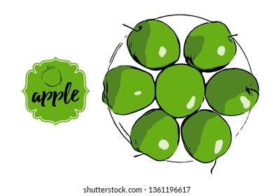 Seven cartoon green apples isolated on white. Label badge with hand drawn typography text apple and apple sketch silhouette. Circle of vector apples with sticker. Hand drawn plate with fresh apples