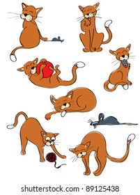 Seven cats and a mouse collection.