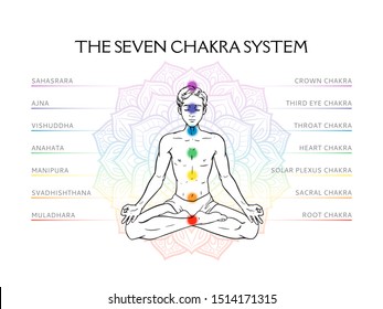 Seven Chakra System In Human Body, Infographic With Meditating Yogi Man, Vector Illustration