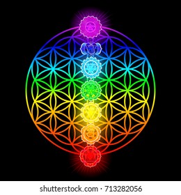 Seven chakras and flower of Life vector illustration