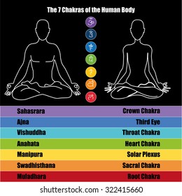 Seven chakras of the Human body