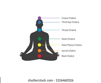 Seven Chakras Human Sitting Lotus Pose Stock Vector (Royalty Free ...