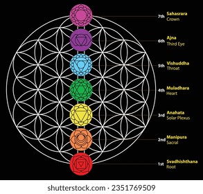 Siete chakras Conjunto de siete símbolos chakra con nombres. Esto es religión, filosofía y símbolos espirituales. ilustración vectorial. sobre fondo