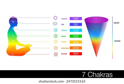 The seven chakras are thought of as the main energy points in your body, which run down the spine.